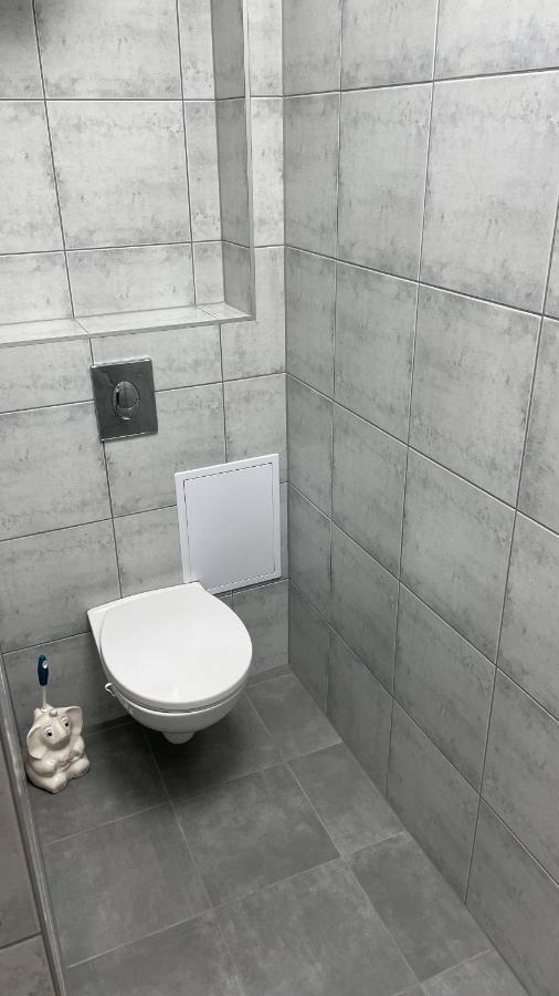 Simba Apartment B Smarjeske Toplice Kültér fotó