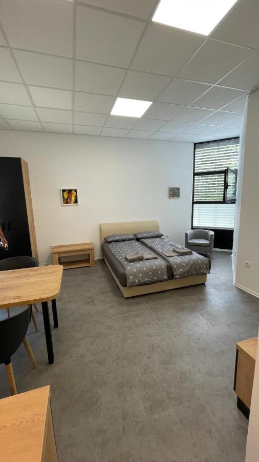 Simba Apartment B Smarjeske Toplice Kültér fotó